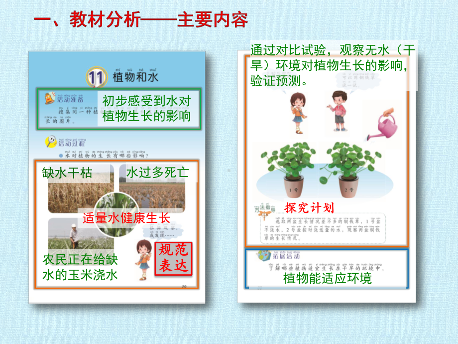 二年级上册科学植物和水(青岛版六年制)课件.pptx_第2页