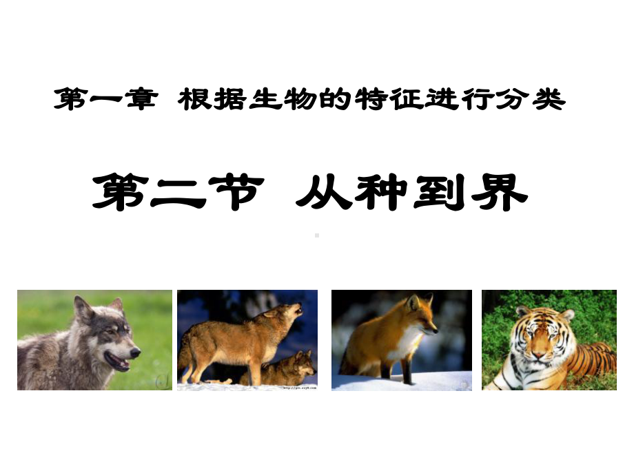 《从种到界》根据生物的特征进行分类版课件.ppt_第1页