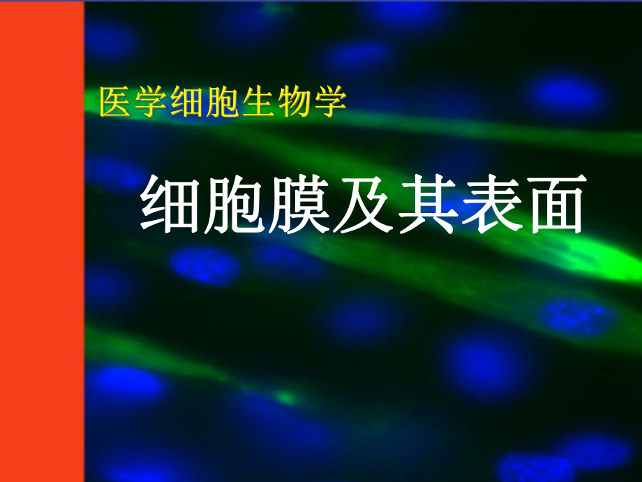 《细胞生物学》细胞膜课件.ppt_第1页