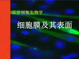 《细胞生物学》细胞膜课件.ppt