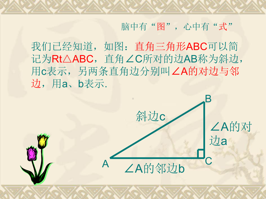 九年级上册数学：锐角三角函数课件.ppt_第2页