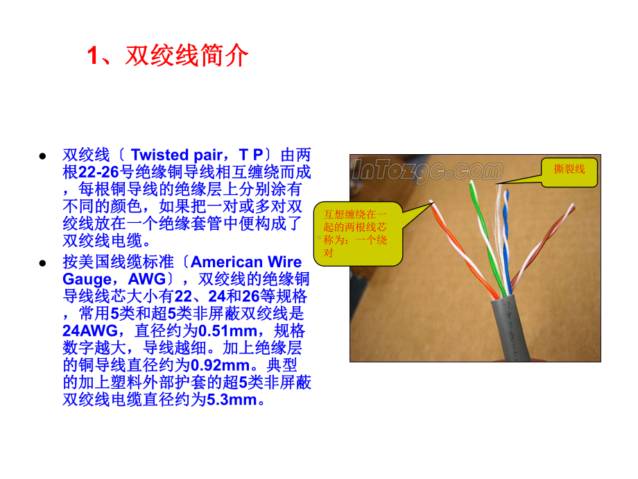 《制作网线图解》幻灯片课件.ppt_第3页