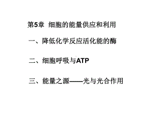 yong酶和ATP的复习MicrosoftPowerPoint演示文稿课件.ppt