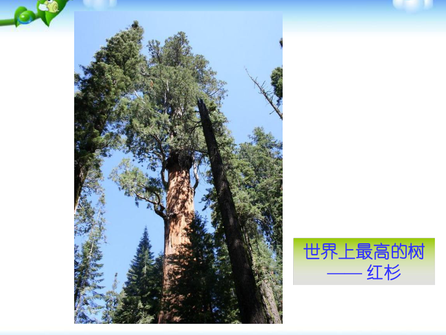 人教版九年级数学上册相似三角形应用举例课件.ppt_第2页