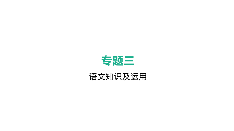 2021年中考语文复习专题03语文知识及运用课件.pptx_第2页