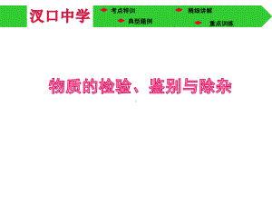 人教版九年级化学物质的检验、鉴别与除杂(共29张)课件.pptx