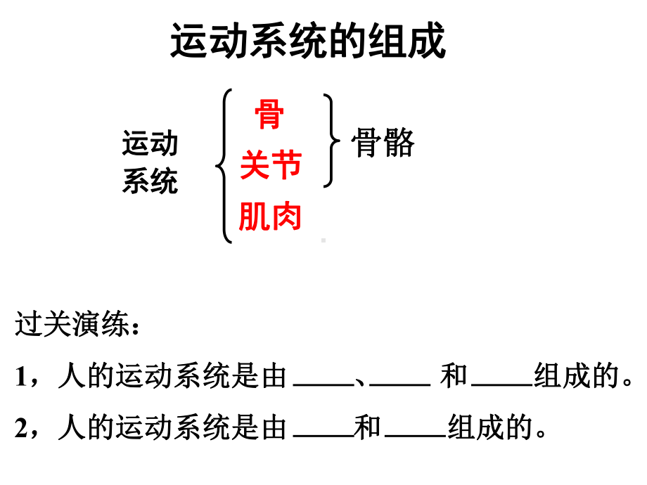 523动物的运动和行为考点总结课件.ppt_第2页