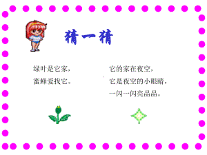 《鲜花和星星》（苏教版第二册）课件.ppt