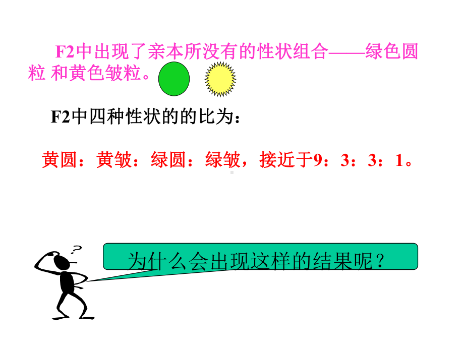 12孟德尔的豌豆杂交实验(二)课件.ppt_第3页