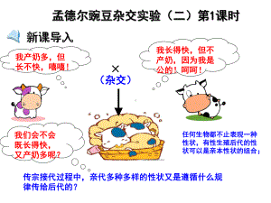 12孟德尔豌豆杂交实验(二)课件.ppt