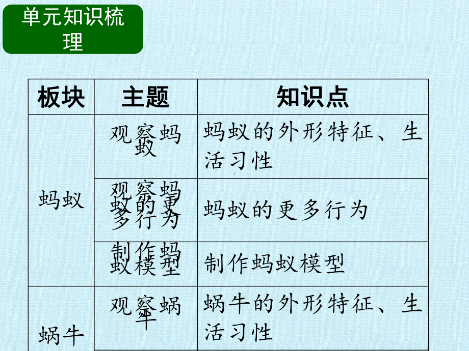 二年级下册科学第三单元观察小动物鄂教版课件.pptx_第2页