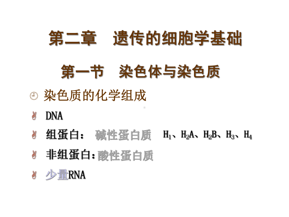 [整理版]医学遗传学细胞与分子基础课件.ppt_第3页