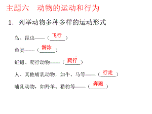 主题六动物的运动和行为课件.pptx