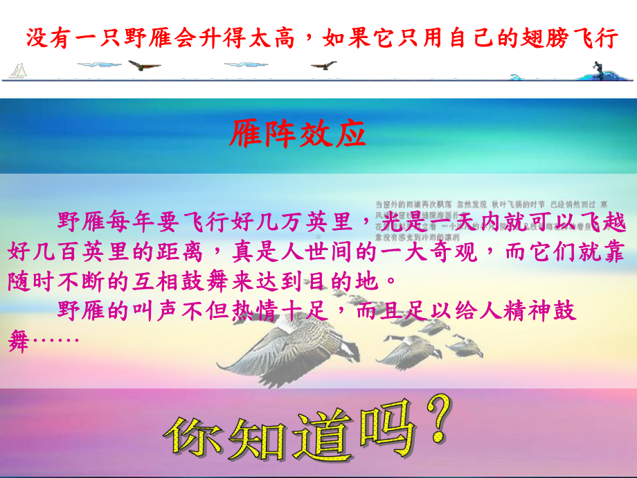 主题班会你能飞得更高[42张]课件.ppt_第2页