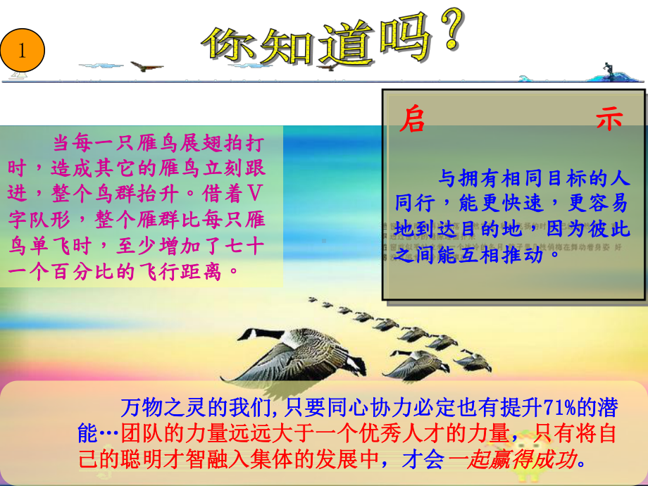 主题班会你能飞得更高[42张]课件.ppt_第3页