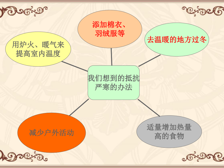 五年级上册科学燕子南飞冀教版课件.ppt_第3页