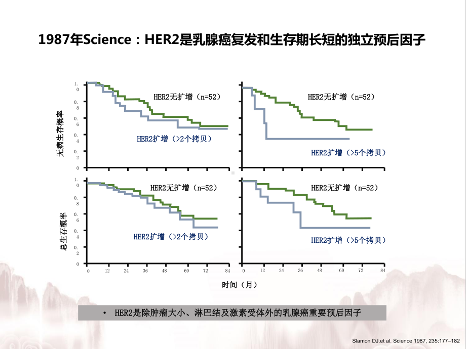 乳腺癌抗HER2发展历程课件.pptx_第3页