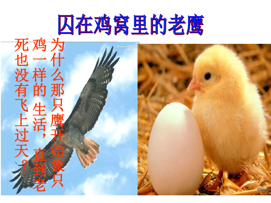 主题班会：我有一个梦想课件.ppt_第3页