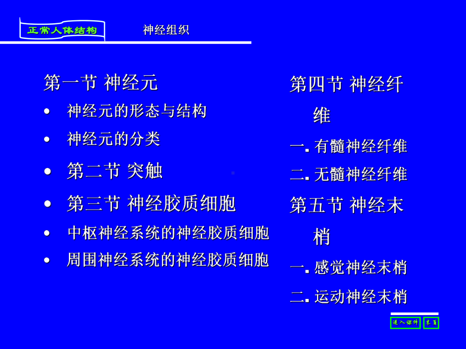 人体解剖与组织胚胎第四章神经组织医学课件.ppt_第2页