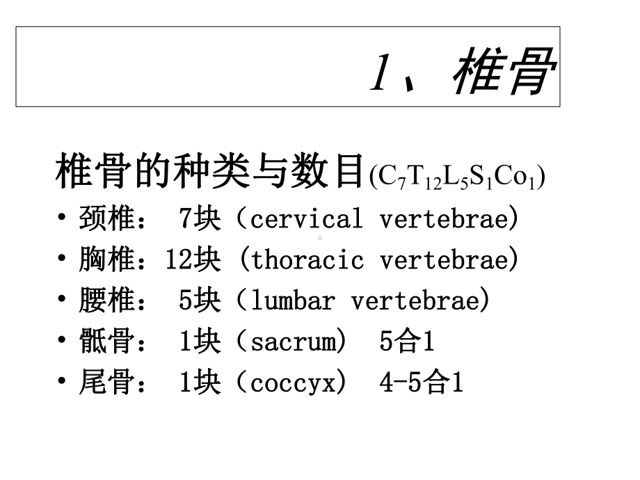 《正常人体解剖学》012运动系统躯干骨课件.ppt_第3页