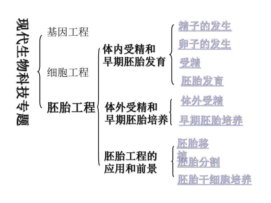 专题三胚胎工程课件.ppt_第2页