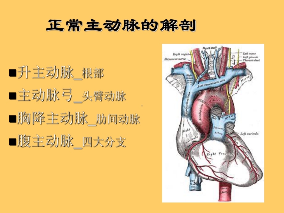 主动脉疾病的治疗进展与挑战课件.ppt_第2页