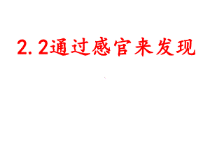 22通过感官来发现课件.ppt