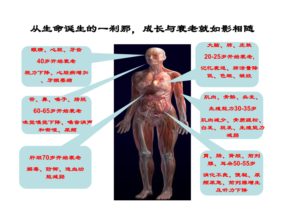 中医预防与养生保健科普知识讲座医学课件.ppt_第2页