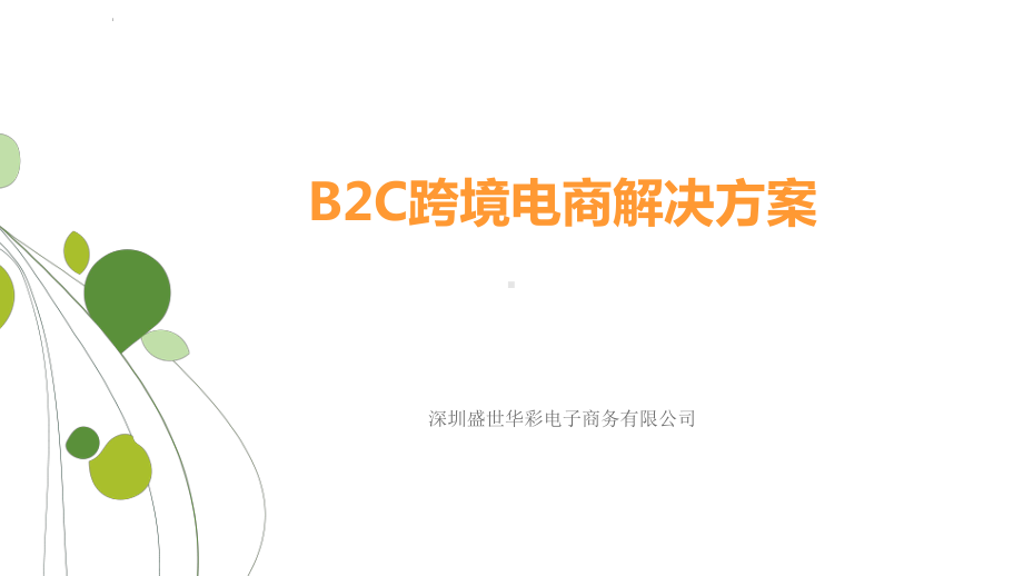 B2C跨境电商解决方案31张课件.ppt_第1页