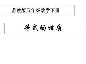 (苏教版)等式的性质课件.ppt