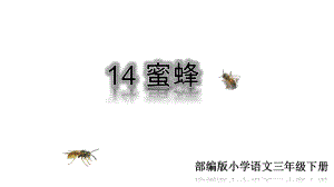 人教版三年级语文下册《14蜜蜂》课件.ppt