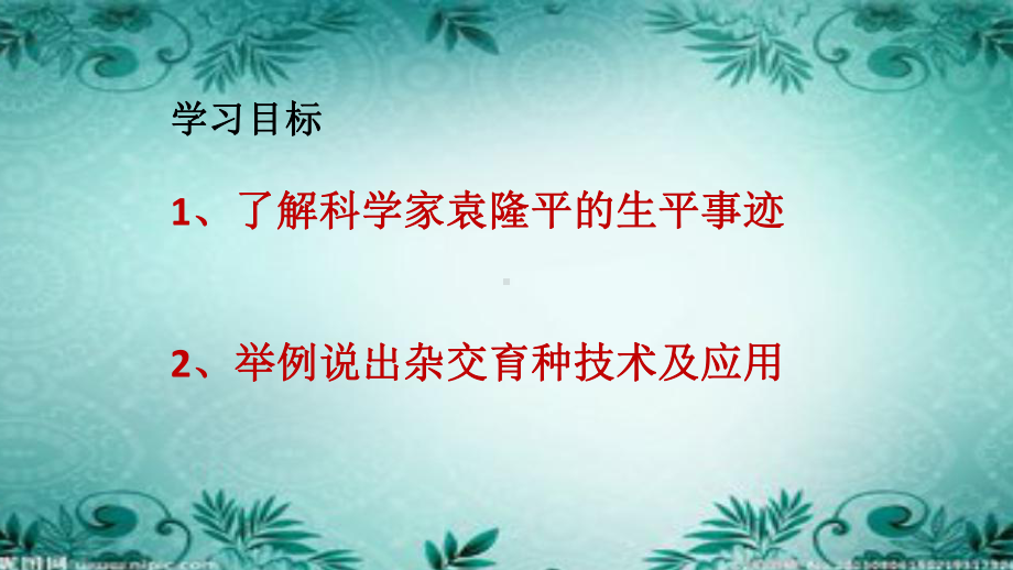 人教版八年级下册生物《科学家的故事袁隆平与杂交水稻》课件.pptx_第2页