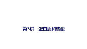 2022年新高考生物一轮总复习蛋白质和核酸课件.pptx