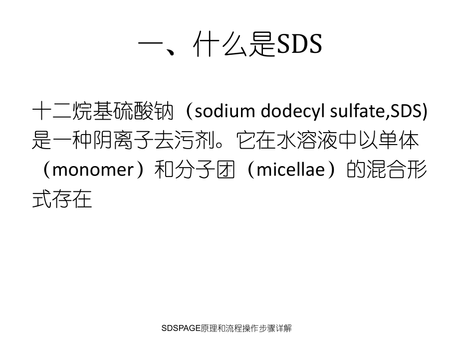 SDSPAGE原理和流程操作步骤详解课件.ppt_第2页