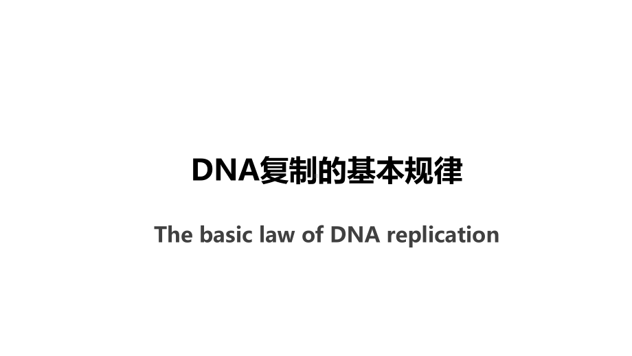 DNA复制的基本规律课件.pptx_第1页