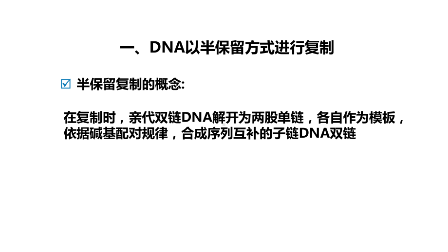 DNA复制的基本规律课件.pptx_第3页