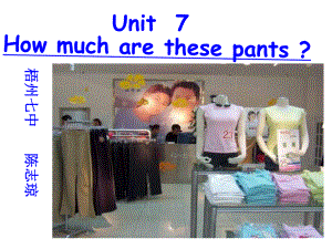 unit7Howmucharethesepants新目标英语正式版课件.ppt（无音视频）