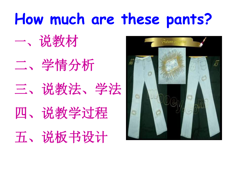 unit7Howmucharethesepants新目标英语正式版课件.ppt（无音视频）_第2页