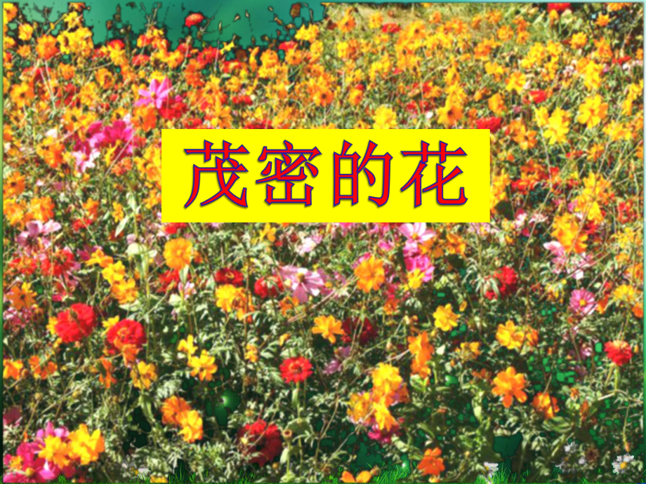 二年级上册美术茂密的花人美版课件.ppt_第3页