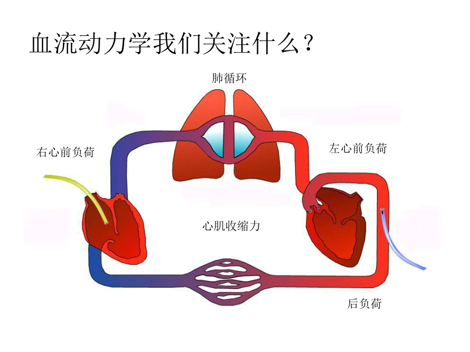 PICCO参数解读与血流动力学课件.ppt_第2页