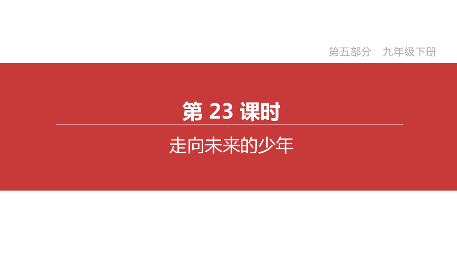 2020年道德与法治中考考点复习-第23课时走向未来的少年课件.pptx_第2页