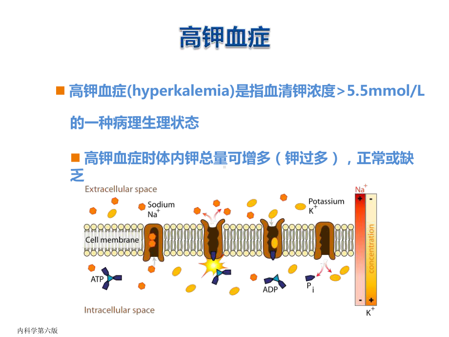 ckd及维持性血透患者透析间期高钾血的治疗策略课件.pptx_第3页