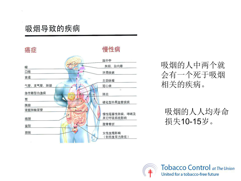 二手烟危害的讲座课件.ppt_第3页