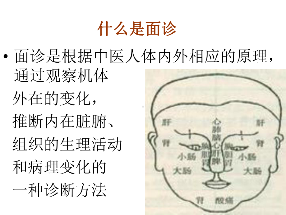 中医面诊课件.ppt_第2页