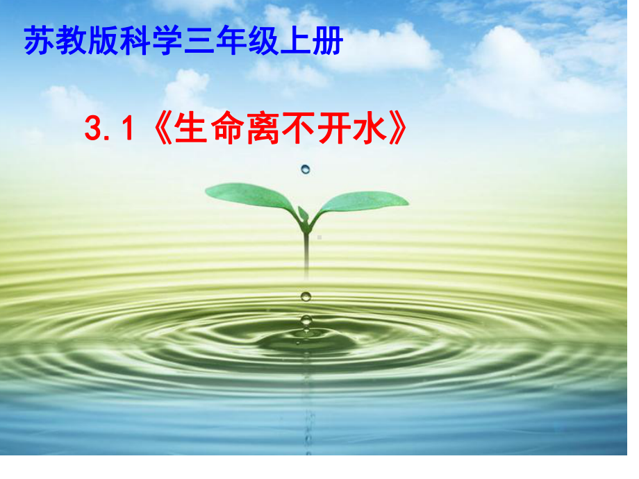 31《生命离不开水》p课件.ppt_第1页