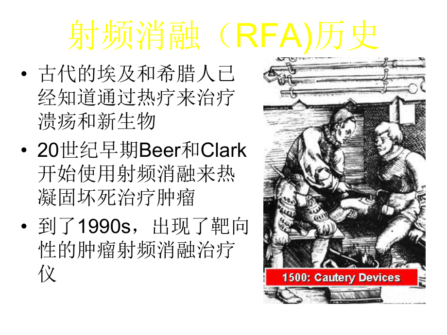 RITAX射频消融发生器课件.pptx_第2页