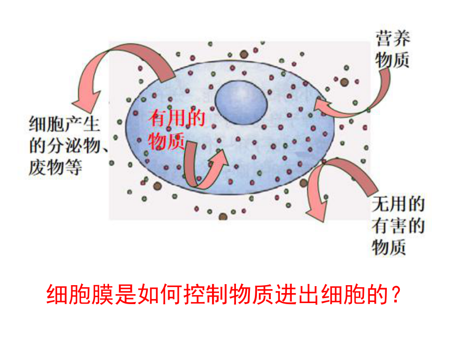 《被动运输》优质教学人教版课件.ppt_第2页