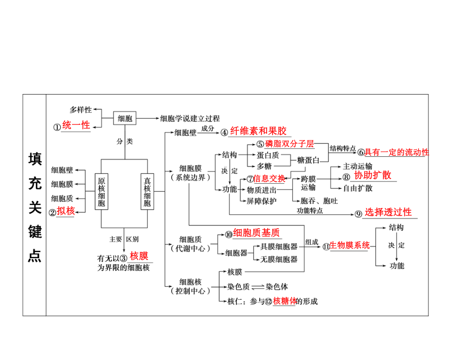 二轮复习知识框架课件.ppt_第2页