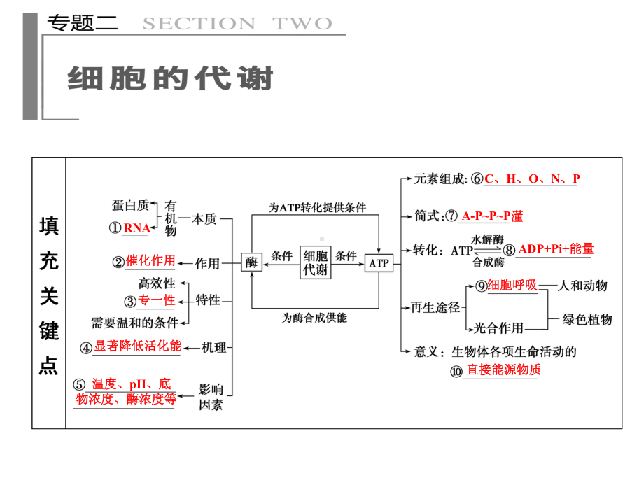 二轮复习知识框架课件.ppt_第3页