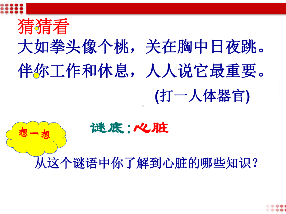 人教版七年级下册生物第三节输送血液的泵-心脏课件.ppt_第2页